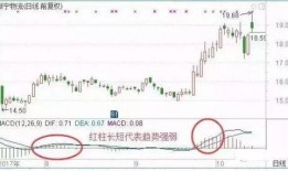 宁德日料爆料事件视频大全,揭露行业潜规则与食品安全问题