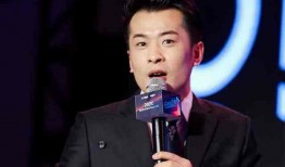 辛巴与王海最新爆料,揭秘行业黑幕，真相令人震惊！